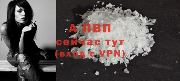 эйфоретик Магас