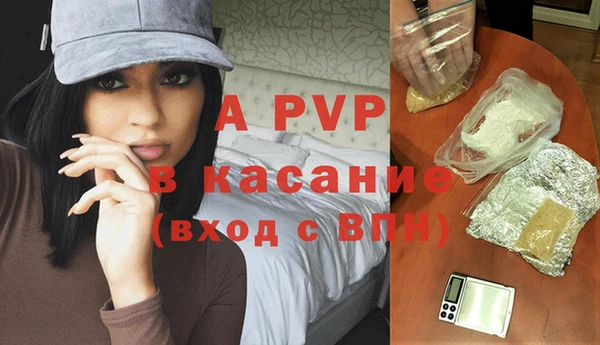 эйфоретик Магас
