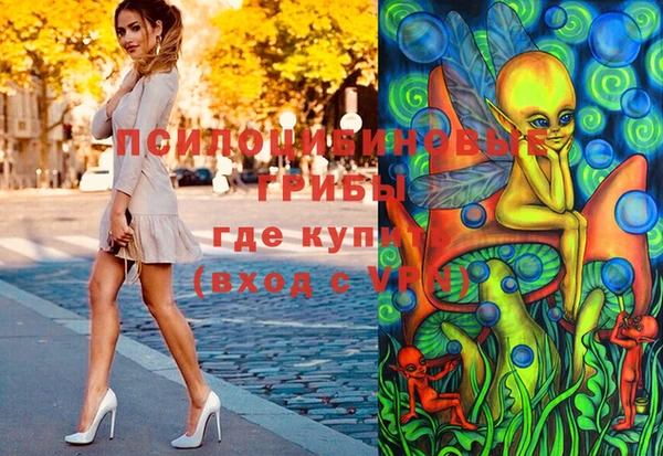 мдпв Майский