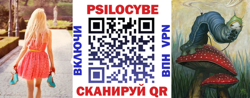 Галлюциногенные грибы Psilocybine cubensis  купить наркоту  Прохладный 