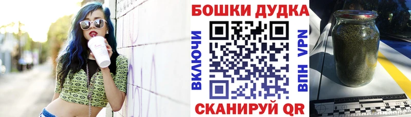 блэк спрут как зайти  Прохладный  Бошки марихуана план 